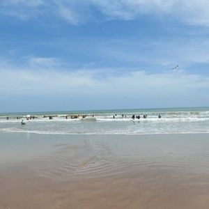 Meet your Posher, Dany